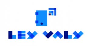 Leyvaly logo